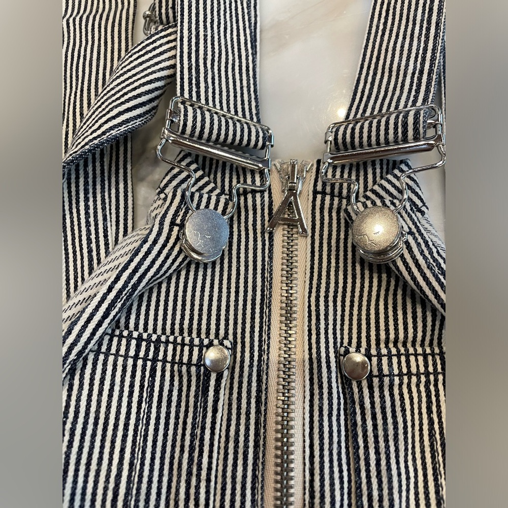 ALEXACHUNG Striped Overalls!!! - Picture 7 of 13